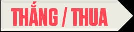 Thắng / Thua